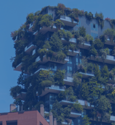 Afbeelding voor categorie Gree